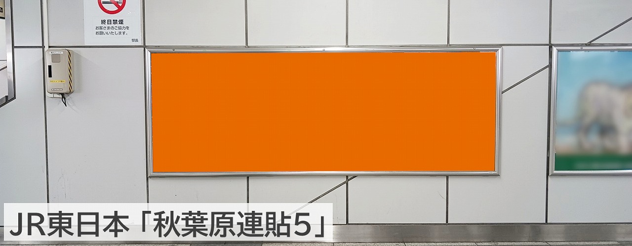 駅広告「秋葉原連貼5」です。秋葉原駅のポスター広告です。B0サイズ2枚を横に並べた広告を5ヶ所に貼り出します。