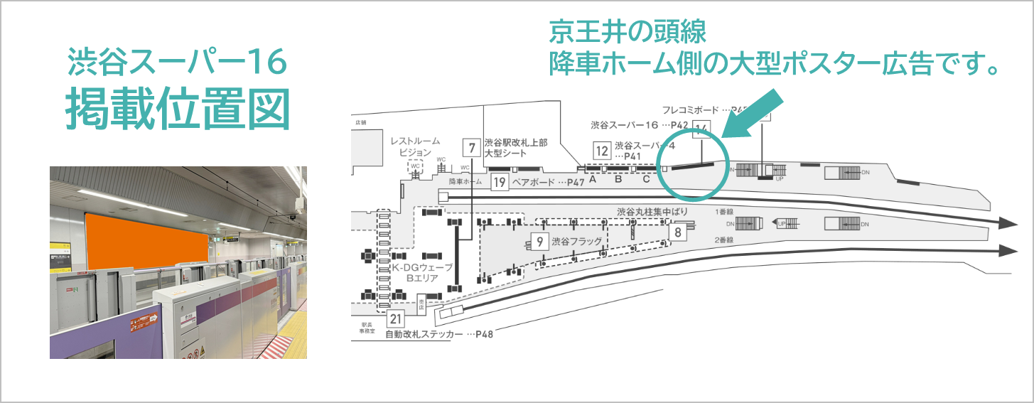 渋谷スーパー16の広告ロケーションです。渋谷駅の京王井の頭線ホームにあります。降車側にあり乗車専用ホームからも良く見える場所です。